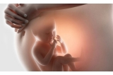 胎宝宝每天在肚子里做什么？原来他的活动这么丰富