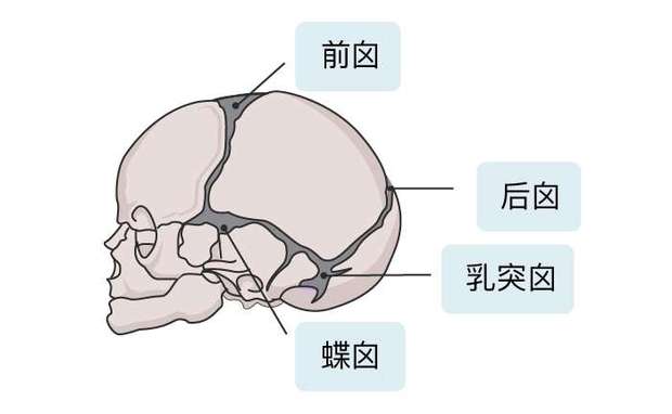 图片关键词