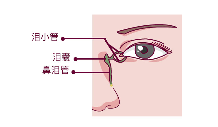 图片关键词